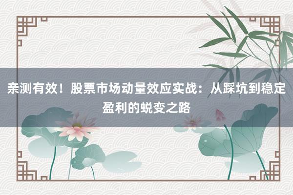 亲测有效！股票市场动量效应实战：从踩坑到稳定盈利的蜕变之路