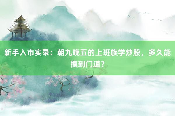 新手入市实录：朝九晚五的上班族学炒股，多久能摸到门道？