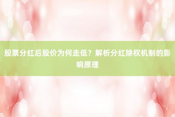 股票分红后股价为何走低？解析分红除权机制的影响原理